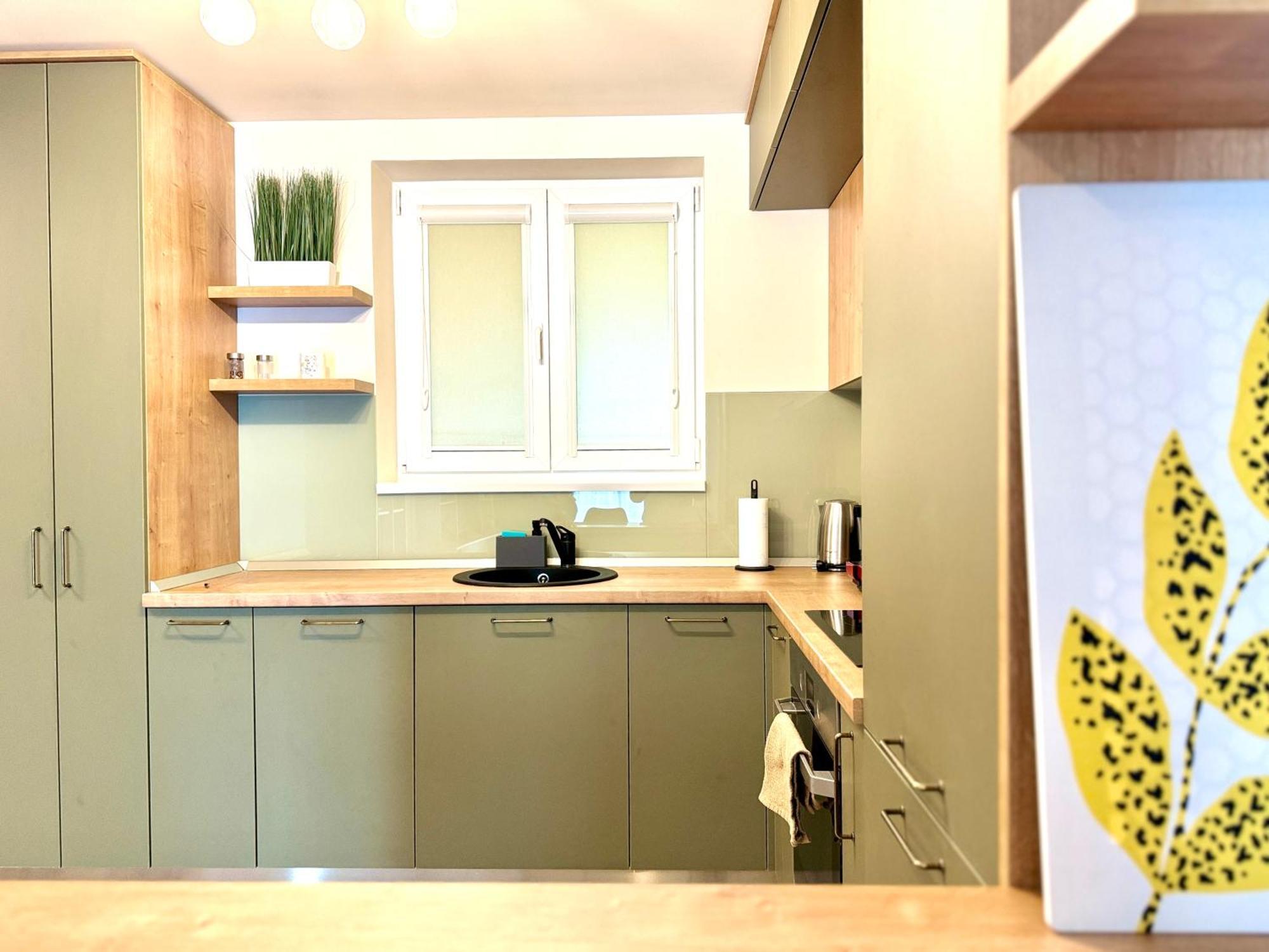Two Chic Apartment Timisoara